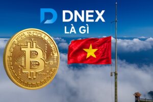 DNEX Là Gì? Sàn Giao Dịch Tài Sản Mã Hóa Tiên Phong Tại Việt Nam